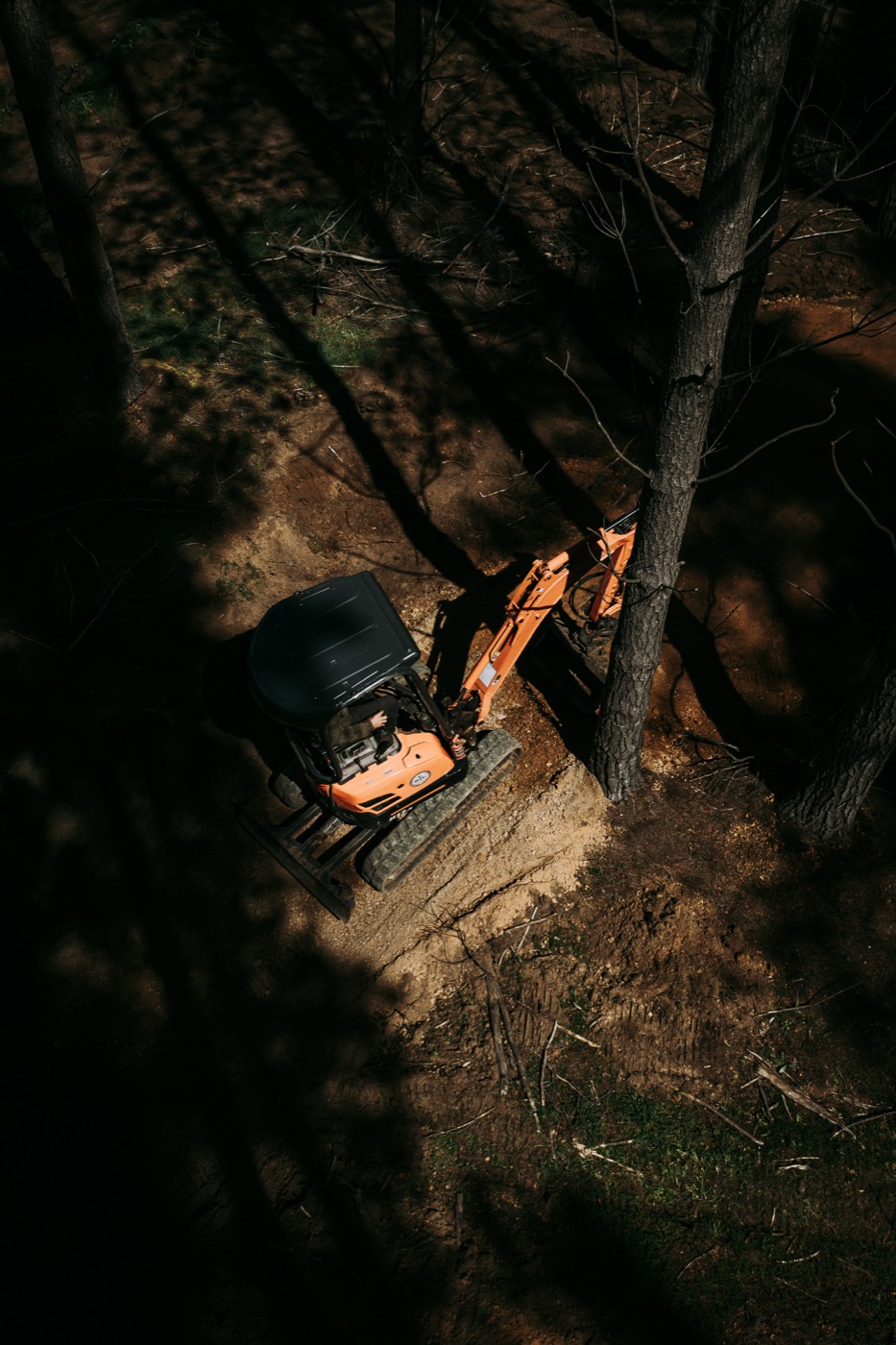 Top-down aerial of an excavator carving trail, dappled light through pines