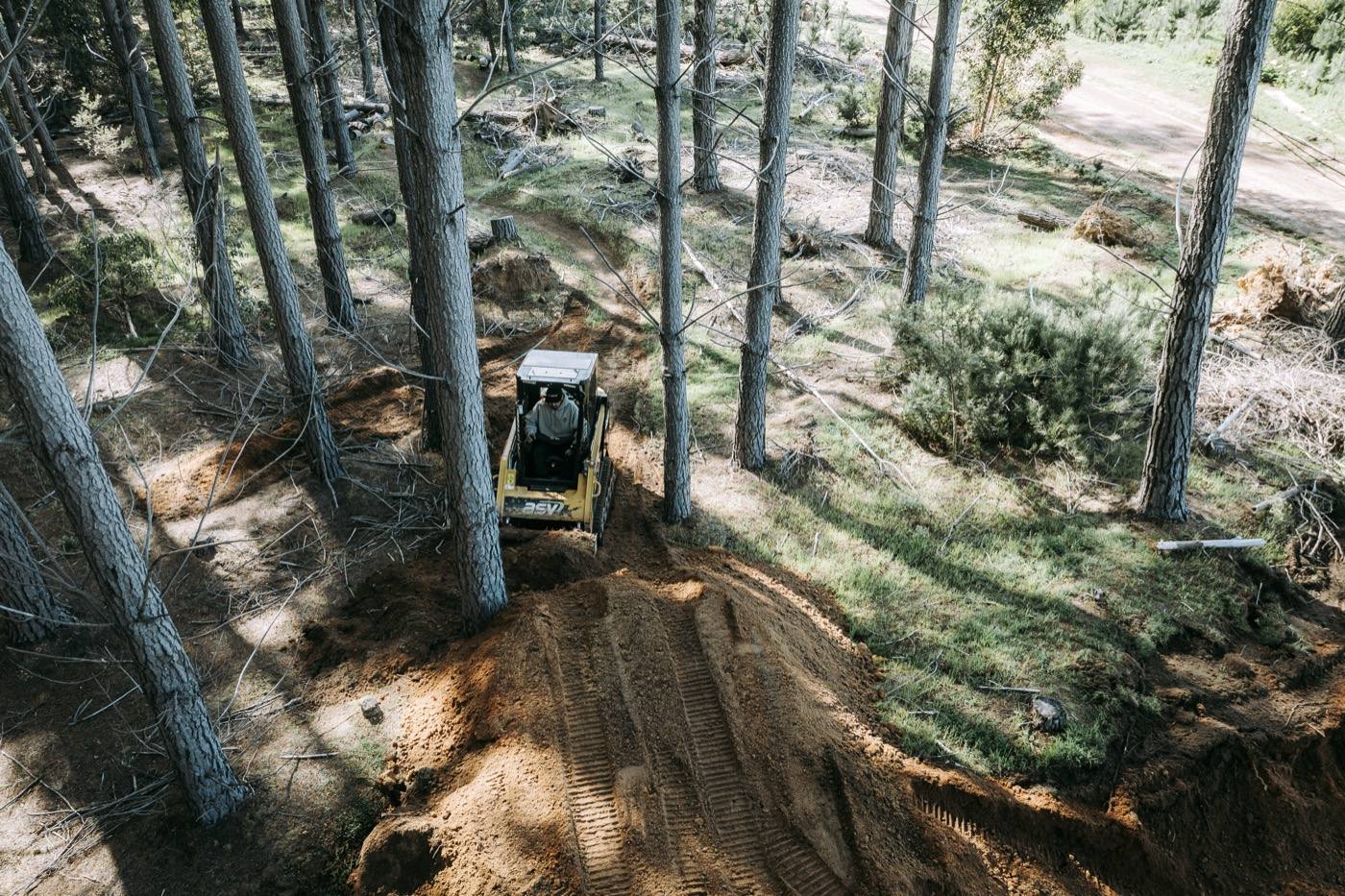 Compact loader carving a new trail through dense pine forest