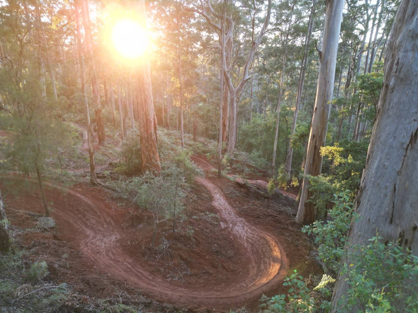 Carved berm in karri forest, the result of race-proven design instinct